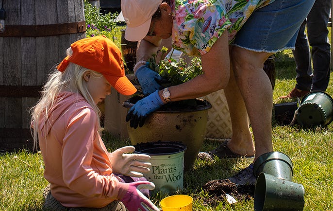 Planting How Image