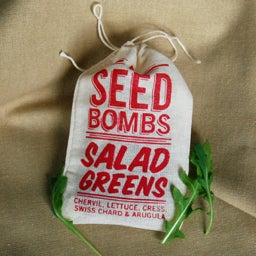Salad Greens Seed Bombs