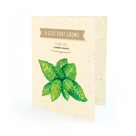 Any Occasion Veggie and Herb Card Set - Basil