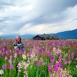 Field of Snapdragon Wildflowers in full bloom