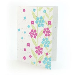 Bright Bouquet Plantable Greeting Card Set