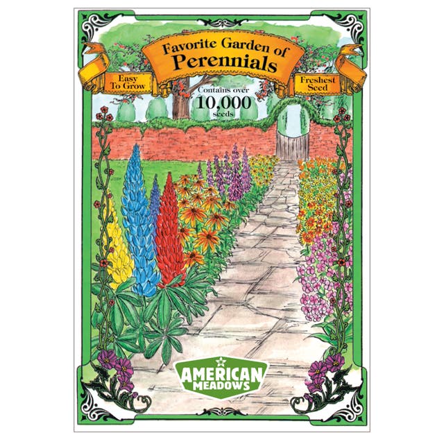 Favorite Garden of Perennials Jumbo Packet