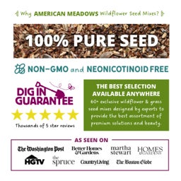 Why American Meadows Wildflower Seed Mixes
