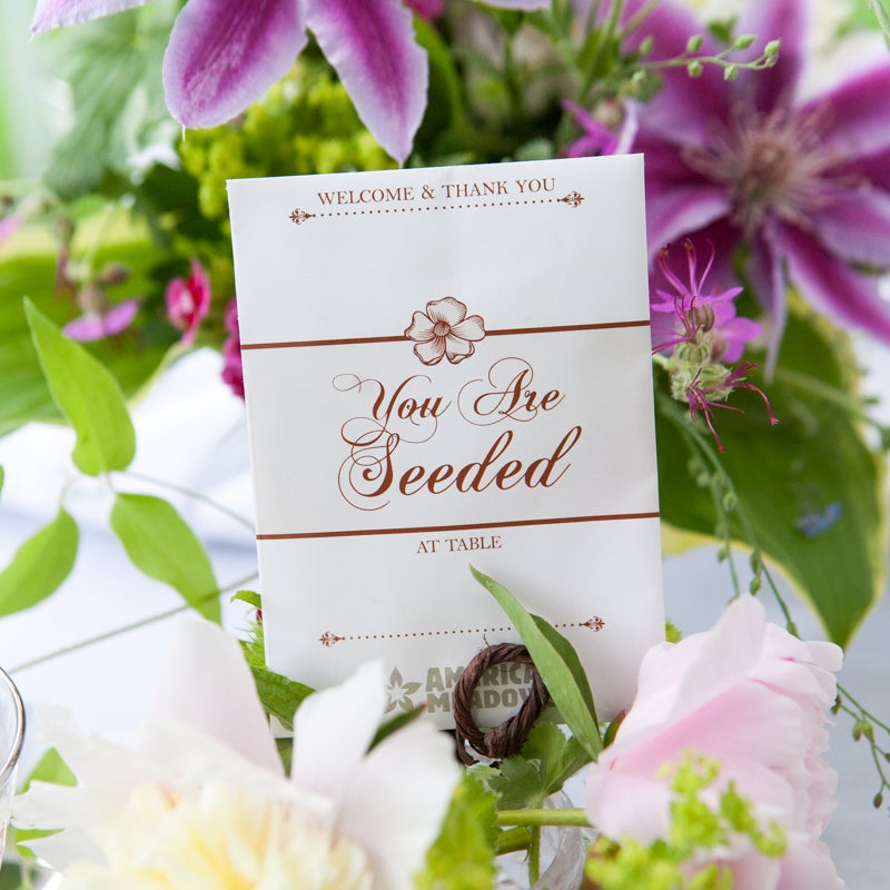 Place Card Seed Packet