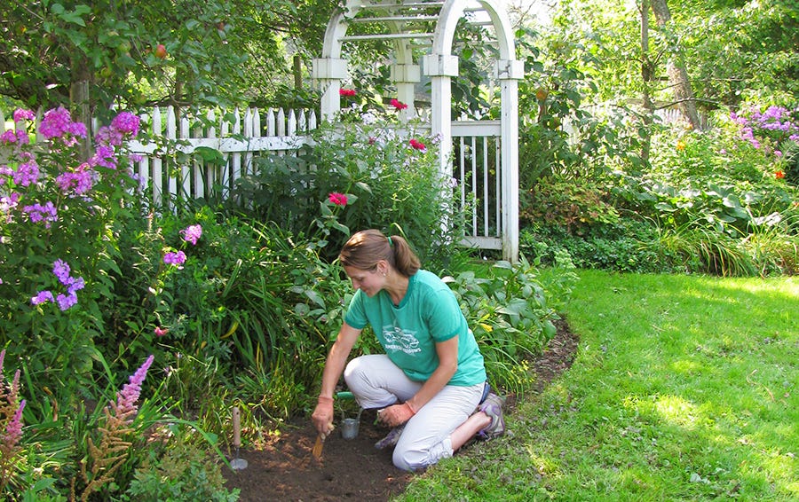 viani-planting