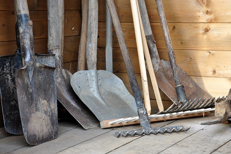 Tool Maintenance: How To Clean Garden Tools & Pruning Shears