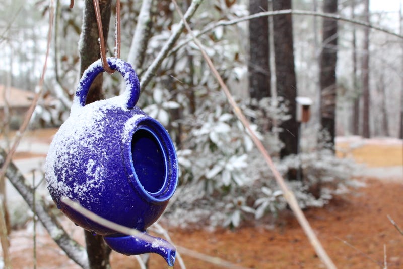 teapot bird feeder