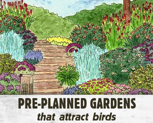 Pre-Planned Gardens that attract birds