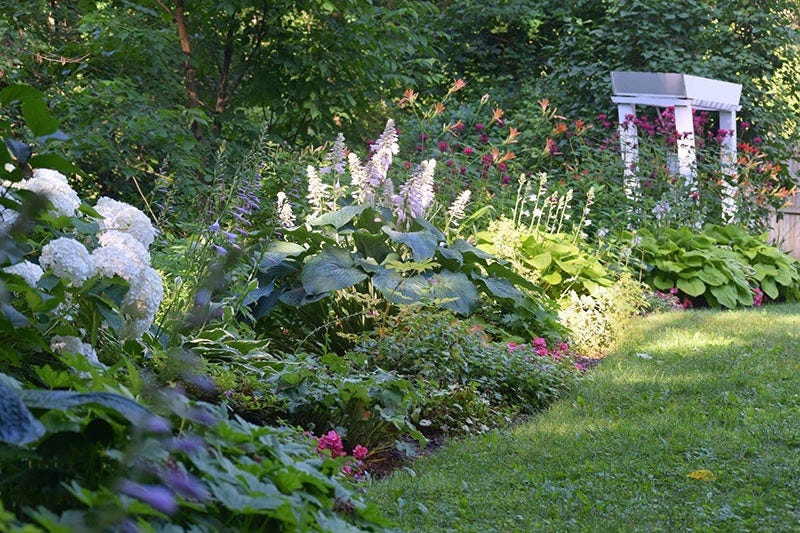 This long, colorful shady garden bed is framed by an arbor on the right.