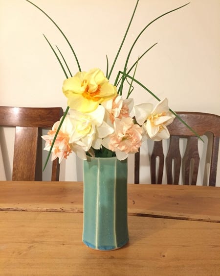 large cupped daffodils