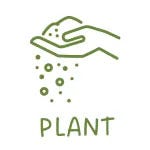 PLANT graphic