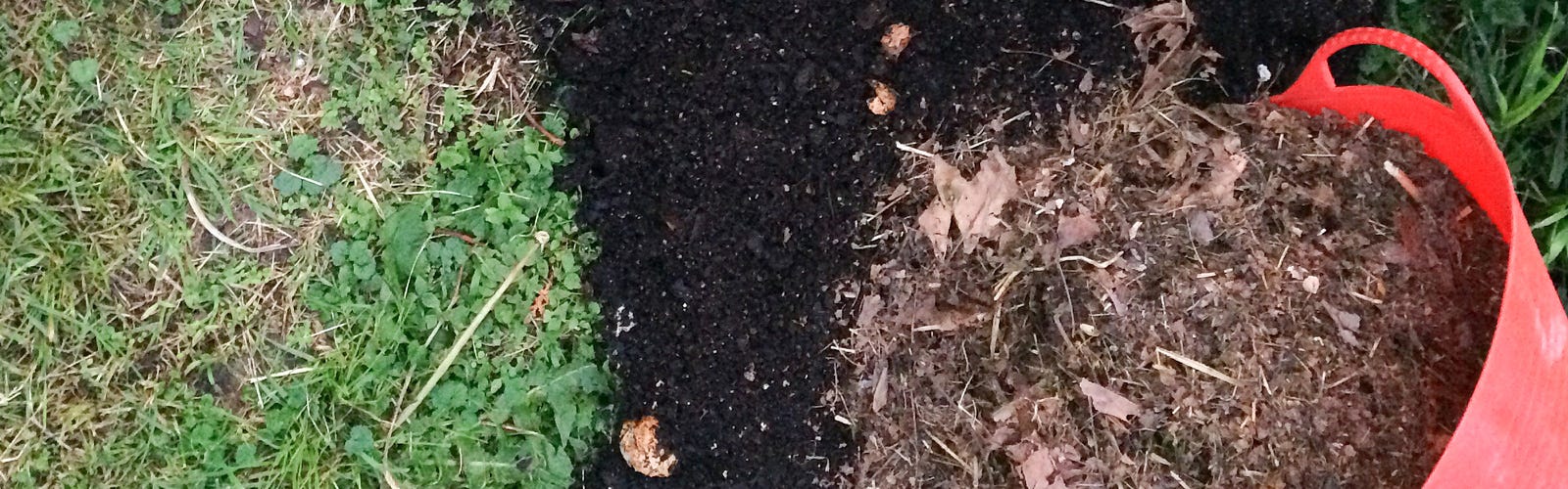 How To Build Healthy Soil With Compost