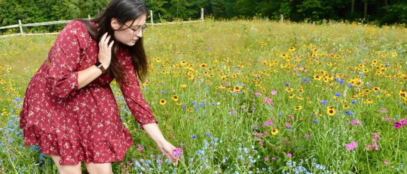 Natalie picks flowers in her wildflower meadow